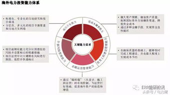海外电力投资 趋势、挑战与资产管理新思路