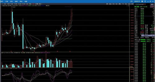 A股白酒行业 疯狂能否持续？上车时机与趋势资产配置分析